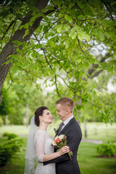 Casal de casamento, belo noivo jovem noiva de pé em um parque de mãos dadas e sorrindo — Fotografia de Stock