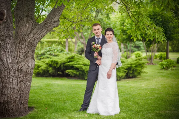 Wedding shot of bride and groom in park — Stock Photo, Image