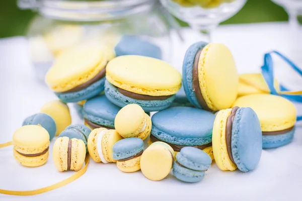 Macaroon zöld fű — Stock Fotó