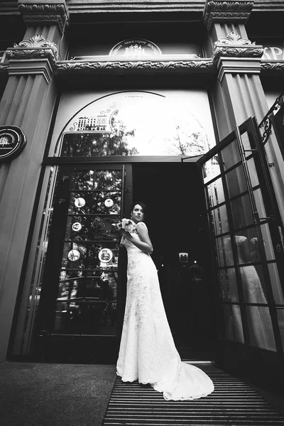 Bride, brunette sexy — Stock Photo, Image