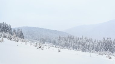 Kış, çayırlar, kar, sürüklenir