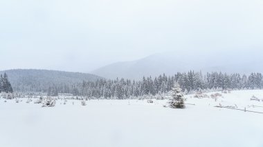 Kış, çayırlar, kar, sürüklenir