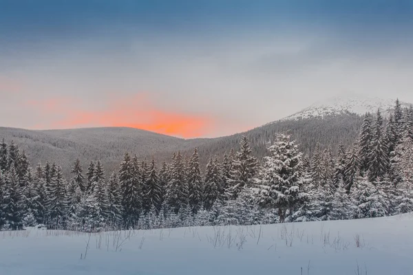 Vinter, snö, landskap — Stockfoto