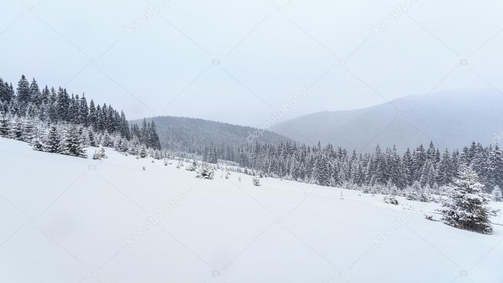 Winter, meadows, snow, drifts