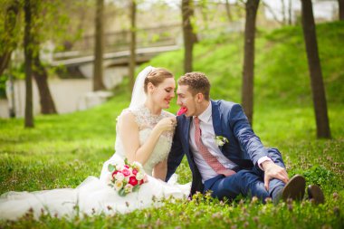 Damat, Gelin, şeker