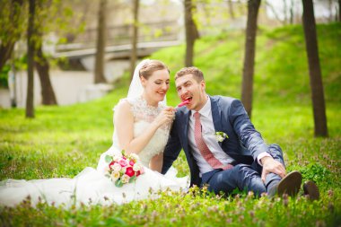 Damat, Gelin, şeker