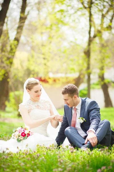 Groom chooses — Stock Photo, Image