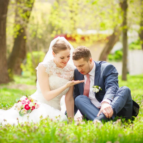 Caramelle da sposa — Foto Stock