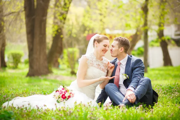 Lo sposo, la sposa, la natura — Foto Stock