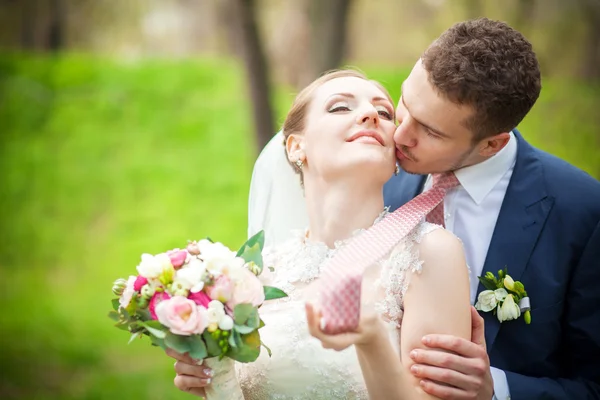 Felicidad, novia, novio, beso — Foto de Stock