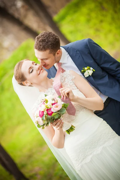 Bride pulling tie — Stock Photo, Image