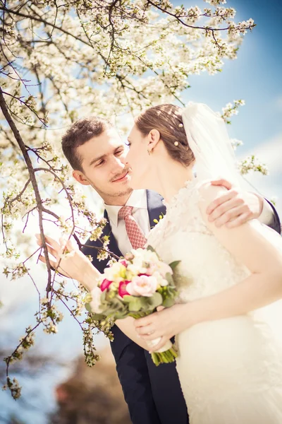 Groom bride flowered trees — Stock Photo, Image