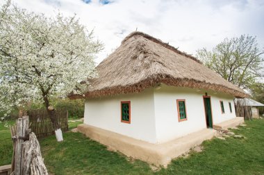 Ukrayna evi 19. yüzyıl