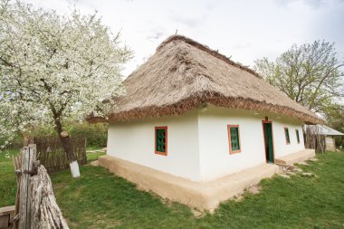 Ukraynalı eski ev