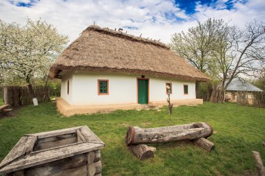 Ukrayna evi 19. yüzyıl