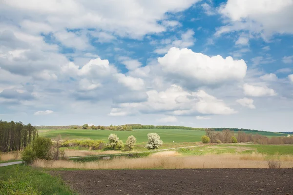 Paisagens agrícolas — Fotografia de Stock