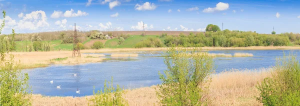 Lago com pássaros — Fotografia de Stock