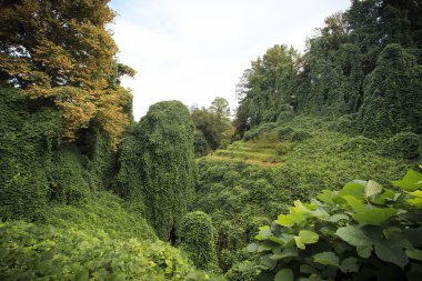 Batum Botanik Parkı