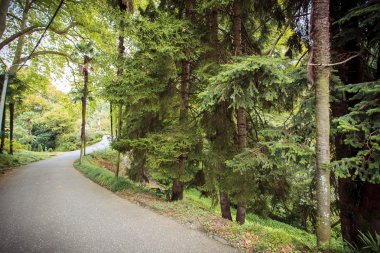 Batum Botanik Parkı