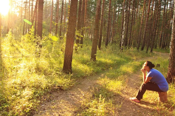 Žena, západ slunce, lesa, slunce — Stock fotografie