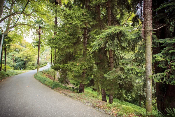 Batum Botanik Parkı