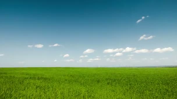 湛蓝色的云彩，背景为绿色的田野 — 图库视频影像