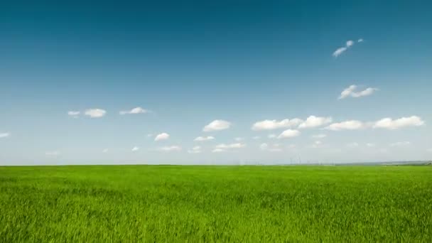 Nuages bleus sur fond de champ vert 