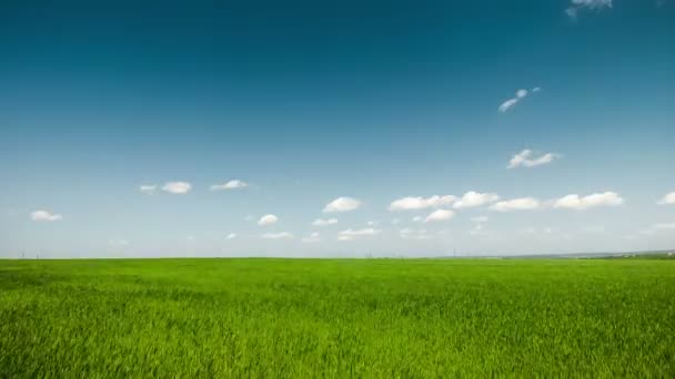 Nuages bleus sur fond de champ vert 