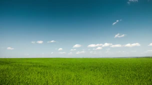 Nubes azules sobre un fondo de campo verde — Vídeos de Stock