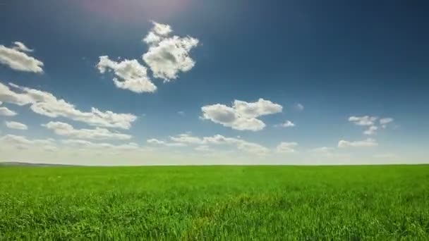 Nubes sobre el campo verde — Vídeos de Stock