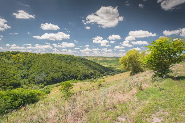 Naturaleza en el oeste de Ucrania — Foto de Stock