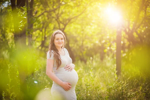 Puesta de sol embarazada —  Fotos de Stock