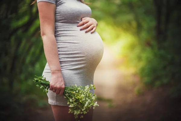 Enceinte dans la nature — Photo