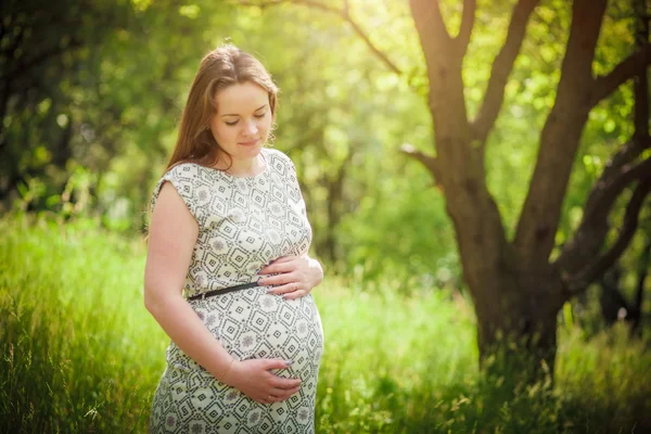 Enceinte à l'extérieur — Photo