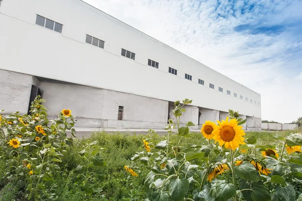 Rampa de almacén — Foto de Stock