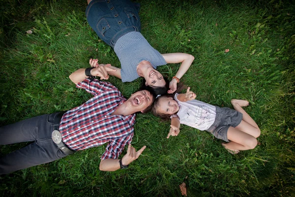 年轻的家庭，在草地上 — 图库照片