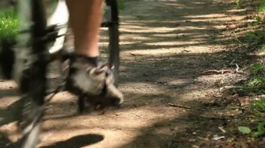 Bir bisikletçi orman gezintisi