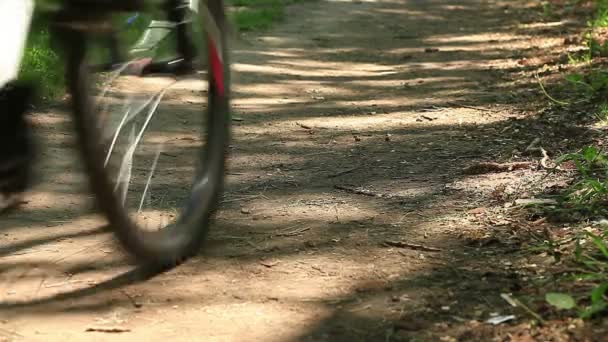 Un ciclista monta en el bosque — Vídeos de Stock