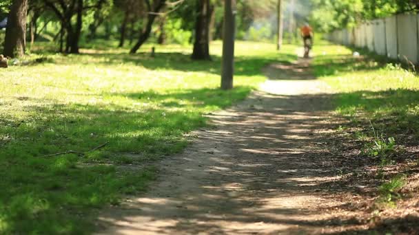 踏单车的男子在公园里 — 图库视频影像