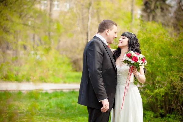 Lo sposo e la sposa in un parco verde — Foto Stock