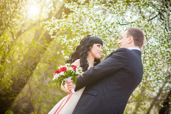Lo sposo e la sposa in un parco verde — Foto Stock