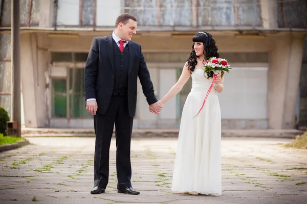 El novio y la novia — Foto de Stock