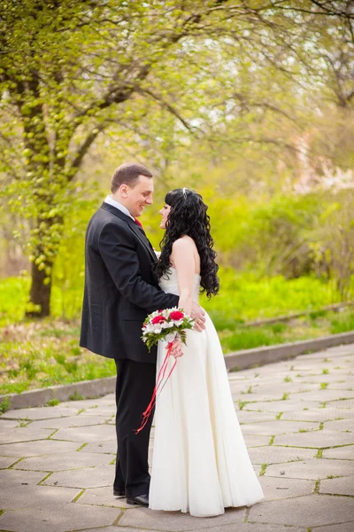 La novia y el novio en un hermoso parque — Foto de Stock