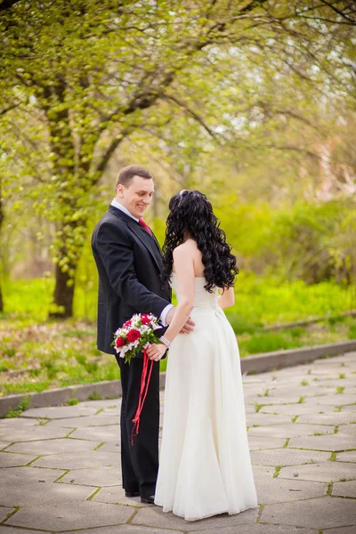 Brudgommen og bruden i en grønn park. – stockfoto