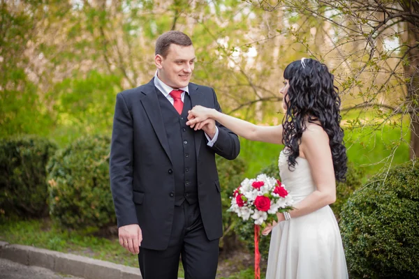 A vőlegény megcsókolja a kezét — Stock Fotó