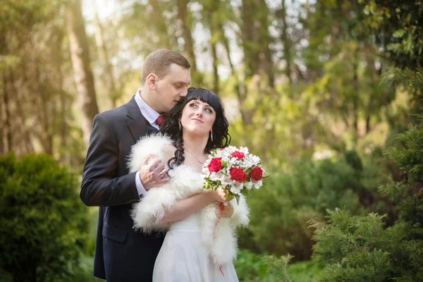 Lo sposo e la sposa — Foto Stock