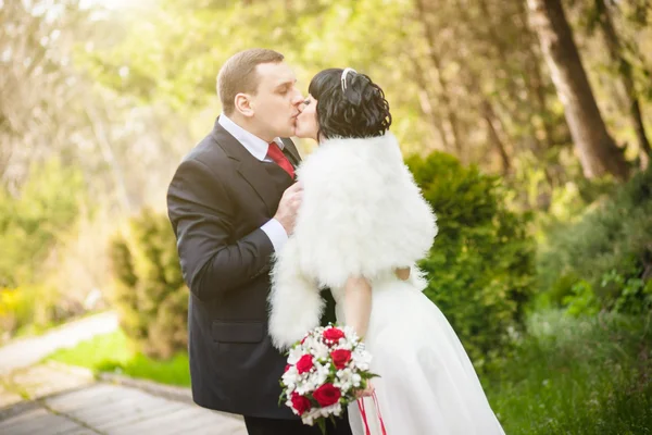 A vőlegény és a menyasszony, egy zöld parkban — Stock Fotó