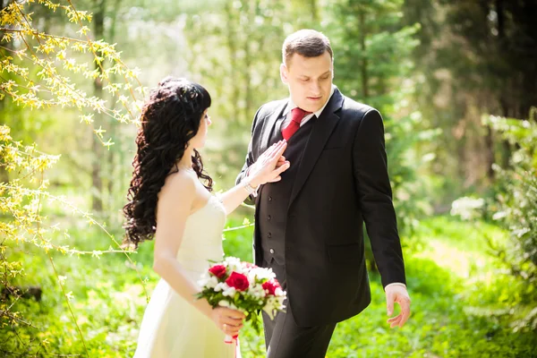 Lo sposo e la sposa in un parco verde — Foto Stock