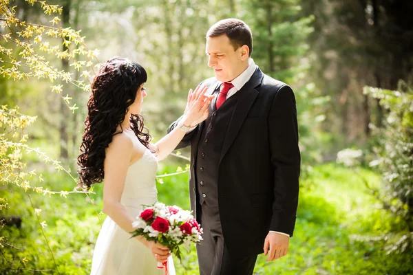 Matrimonio alberi da fiore — Foto Stock