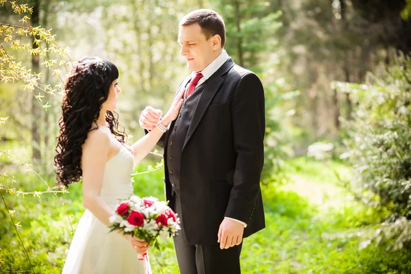 Pengantin pria dan pengantin wanita di taman hijau — Stok Foto
